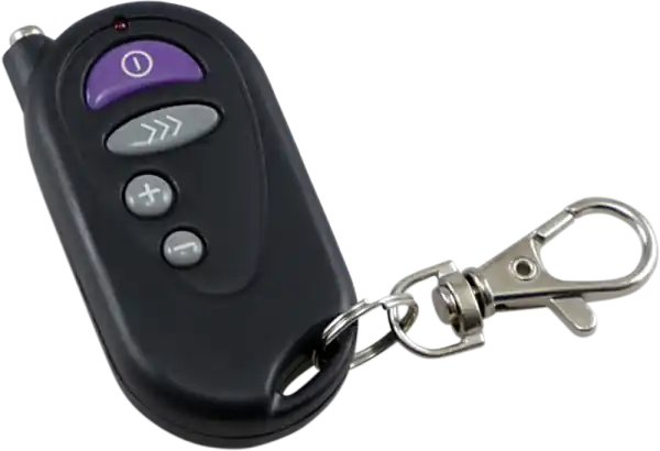 Replacement Lizard Light Remote Control Black, Chrome, Gray, Purple Popular